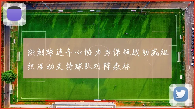 热刺球迷齐心协力为保级战助威组织活动支持球队对阵森林